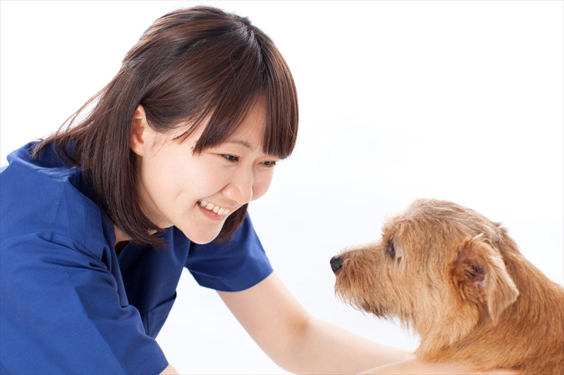 愛犬との幸せな暮らしを京都市でトリミングサロンを営みサポート