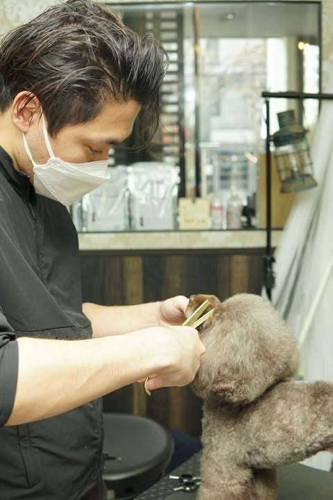 田中伸尭(タナカノブタカ)